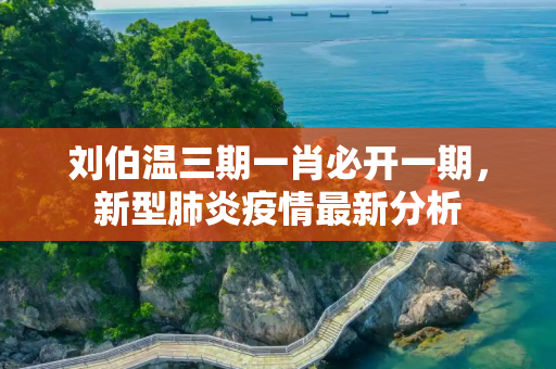 刘伯温三期一肖必开一期，新型肺炎疫情最新分析