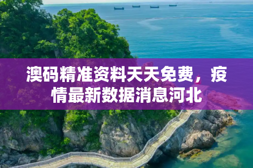 澳码精准资料天天免费，疫情最新数据消息河北