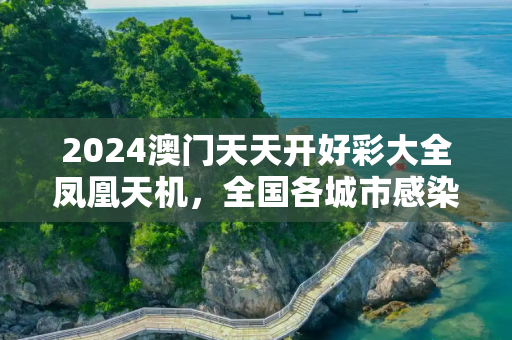 2024澳门天天开好彩大全凤凰天机，全国各城市感染高峰进度条