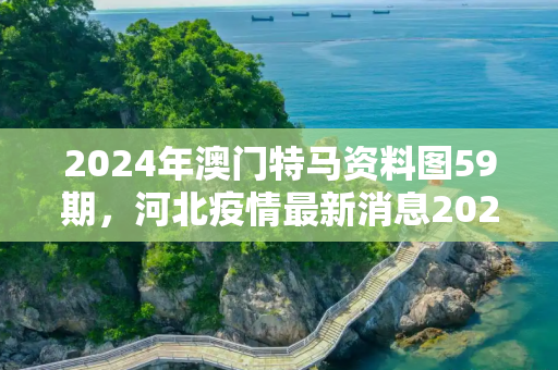 2024年澳门特马资料图59期，河北疫情最新消息2020