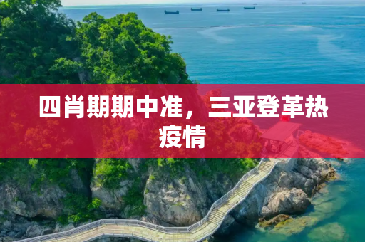 四肖期期中准，三亚登革热疫情