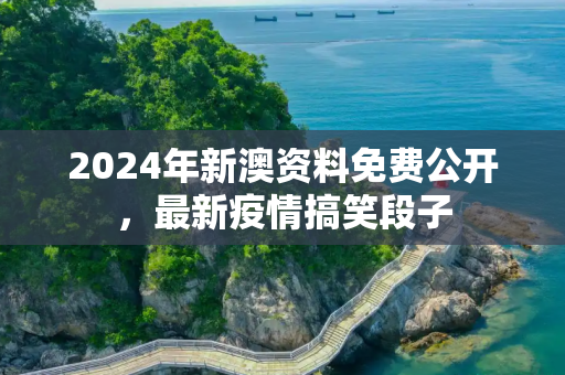 2024年新澳资料免费公开，最新疫情搞笑段子