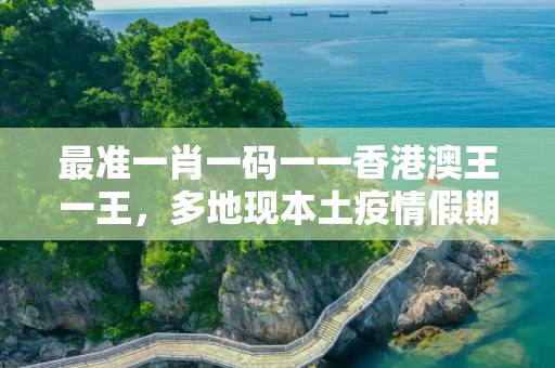 最准一肖一码一一香港澳王一王，多地现本土疫情假期能安心出行吗