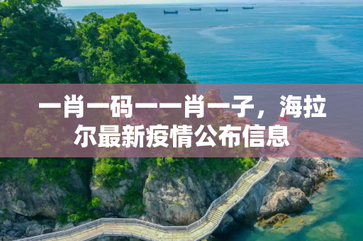 一肖一码一一肖一子，海拉尔最新疫情公布信息