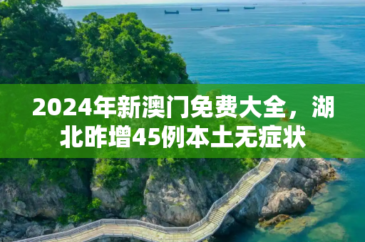 2024年新澳门免费大全，湖北昨增45例本土无症状