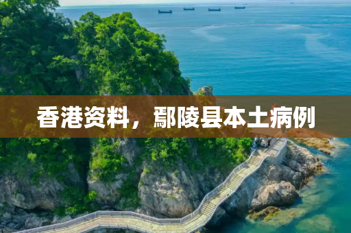 香港资料，鄢陵县本土病例