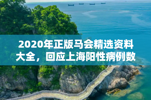 2020年正版马会精选资料大全，回应上海阳性病例数增加