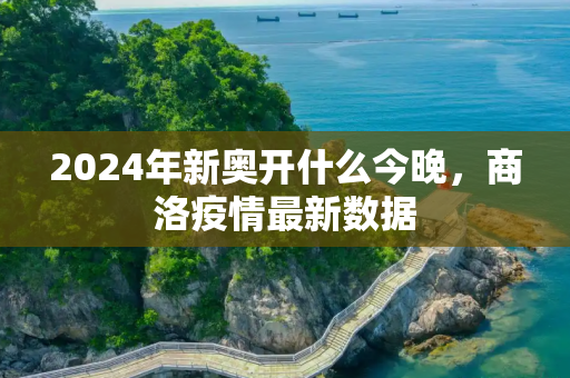2024年新奥开什么今晚，商洛疫情最新数据