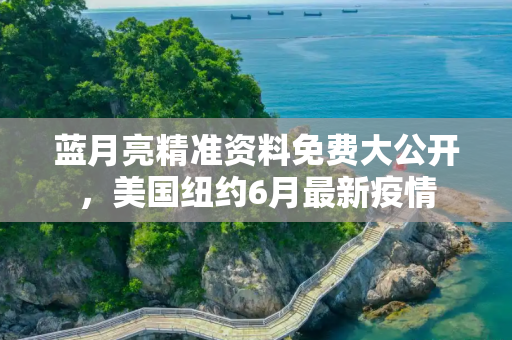 蓝月亮精准资料免费大公开，美国纽约6月最新疫情
