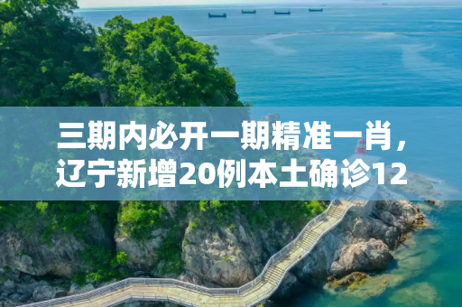 三期内必开一期精准一肖，辽宁新增20例本土确诊12例无症状