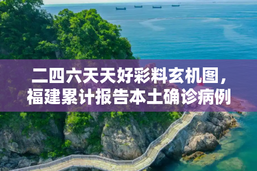二四六天天好彩料玄机图，福建累计报告本土确诊病例363例