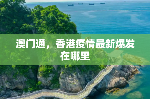 澳门通，香港疫情最新爆发在哪里
