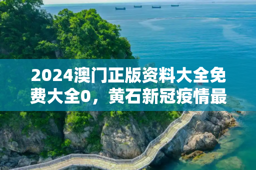 2024澳门正版资料大全免费大全0，黄石新冠疫情最新消息