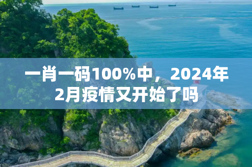 一肖一码100%中，2024年2月疫情又开始了吗