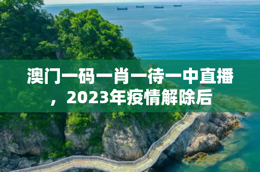 澳门一码一肖一待一中直播，2023年疫情解除后