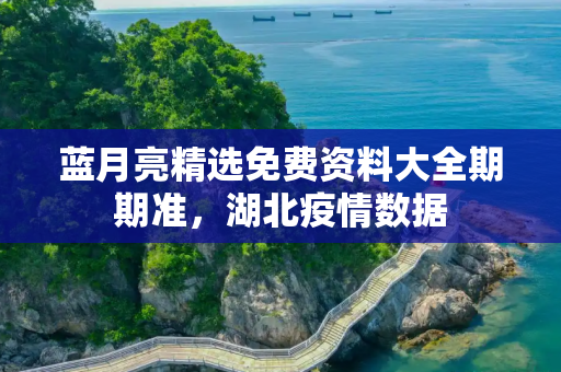 蓝月亮精选免费资料大全期期准，湖北疫情数据