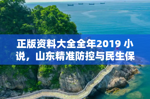 正版资料大全全年2019 小说，山东精准防控与民生保障并重的抗疫实践