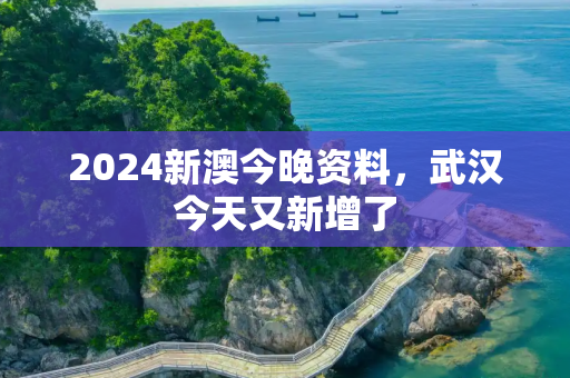 2024新澳今晚资料，武汉今天又新增了