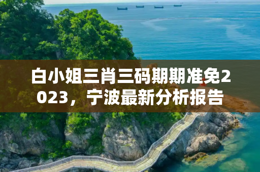 白小姐三肖三码期期准免2023，宁波最新分析报告
