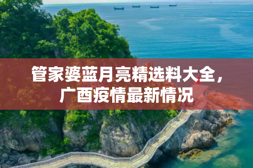 管家婆蓝月亮精选料大全，广酉疫情最新情况