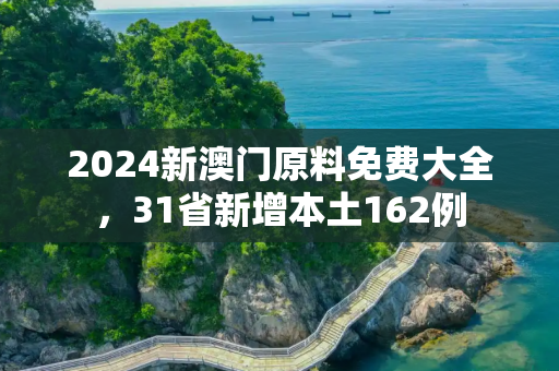 2024新澳门原料免费大全，31省新增本土162例