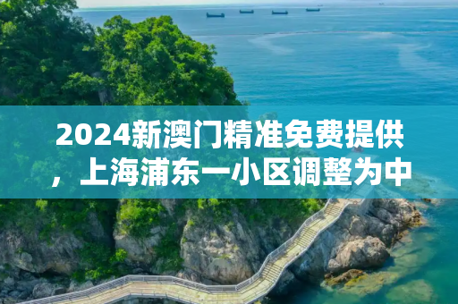 2024新澳门精准免费提供，上海浦东一小区调整为中风险