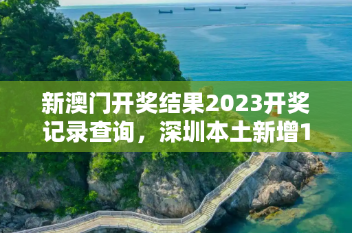 新澳门开奖结果2023开奖记录查询，深圳本土新增19例病例