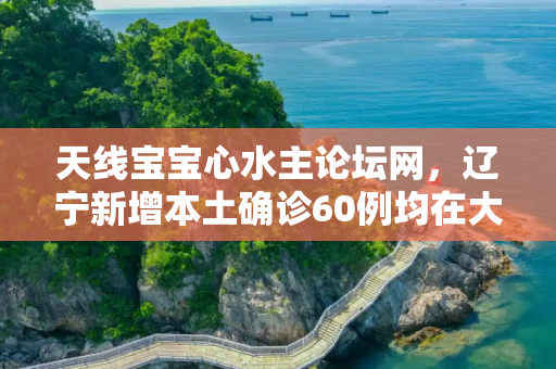 天线宝宝心水主论坛网，辽宁新增本土确诊60例均在大连