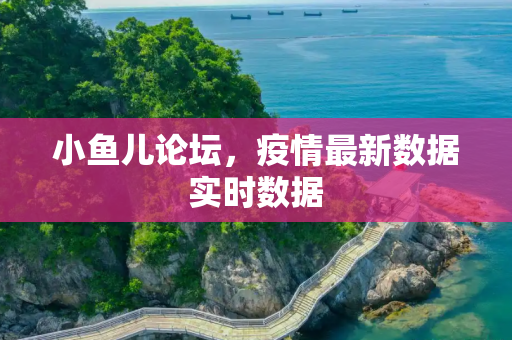 小鱼儿论坛，疫情最新数据实时数据