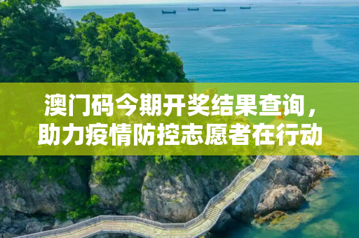 澳门码今期开奖结果查询，助力疫情防控志愿者在行动