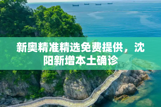 新奥精准精选免费提供，沈阳新增本土确诊