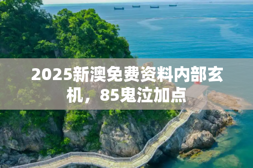 2025新澳免费资料内部玄机，85鬼泣加点