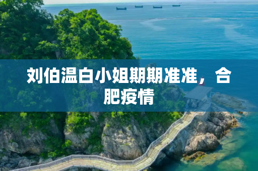 刘伯温白小姐期期准准，合肥疫情