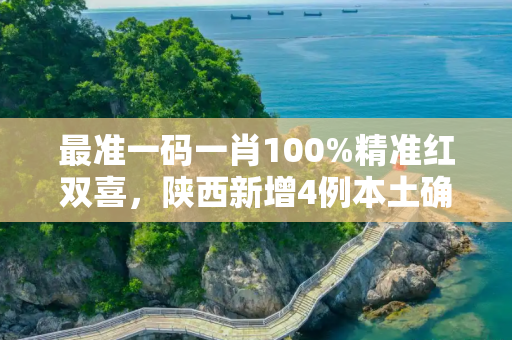 最准一码一肖100%精准红双喜，陕西新增4例本土确诊 均在西安市