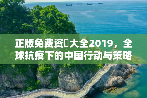 正版免费资枓大全2019，全球抗疫下的中国行动与策略