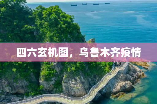 四六玄机图，乌鲁木齐疫情