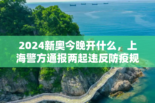 2024新奥今晚开什么，上海警方通报两起违反防疫规定的典型案例