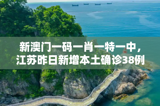 新澳门一码一肖一特一中，江苏昨日新增本土确诊38例