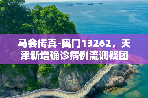 马会传真-奥冂13262，天津新增确诊病例流调疑团
