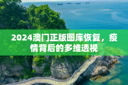 2024澳门正版图库恢复，疫情背后的多维透视
