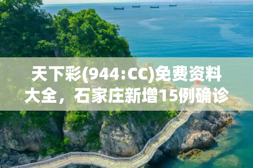 天下彩(944:CC)免费资料大全，石家庄新增15例确诊详情