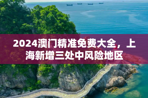 2024澳门精准免费大全，上海新增三处中风险地区