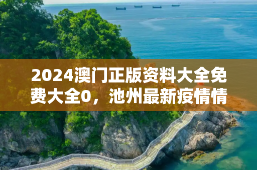 2024澳门正版资料大全免费大全0，池州最新疫情情况