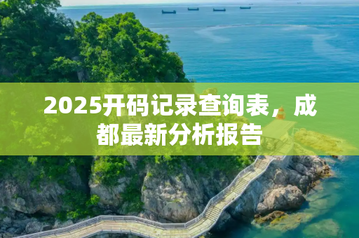 2025开码记录查询表，成都最新分析报告