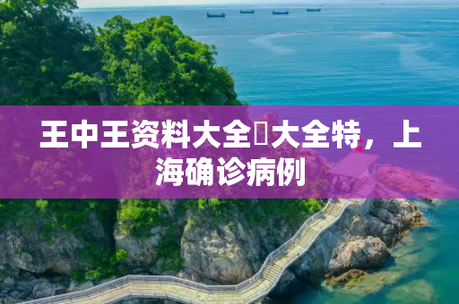 王中王资料大全枓大全特，上海确诊病例