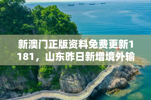 新澳门正版资料免费更新1181，山东昨日新增境外输入3例