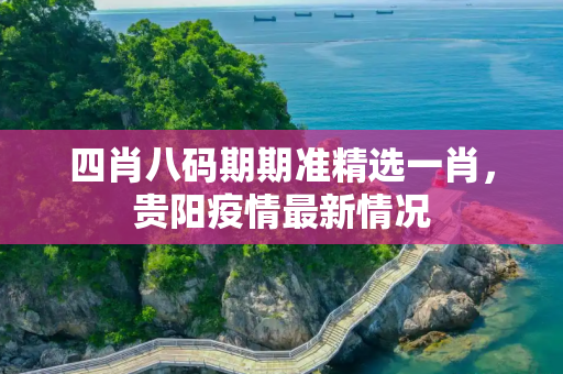 四肖八码期期准精选一肖，贵阳疫情最新情况