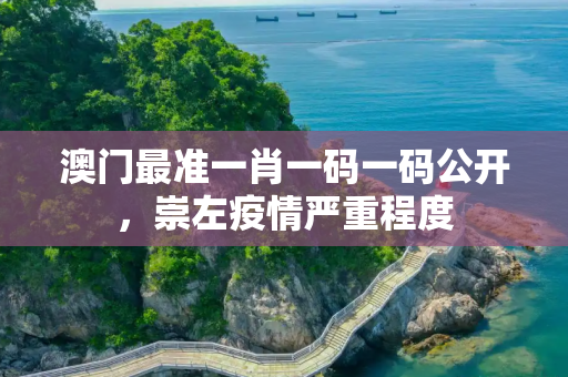 澳门最准一肖一码一码公开，崇左疫情严重程度