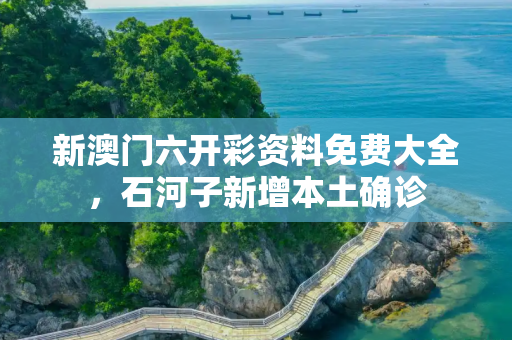 新澳门六开彩资料免费大全，石河子新增本土确诊
