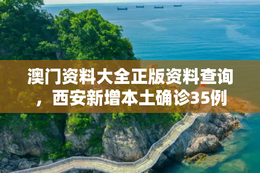 澳门资料大全正版资料查询，西安新增本土确诊35例